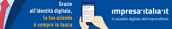 Banner Impresa in un giorno